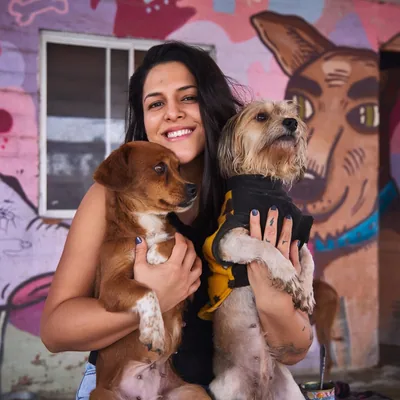 @vozanimalperu profile image