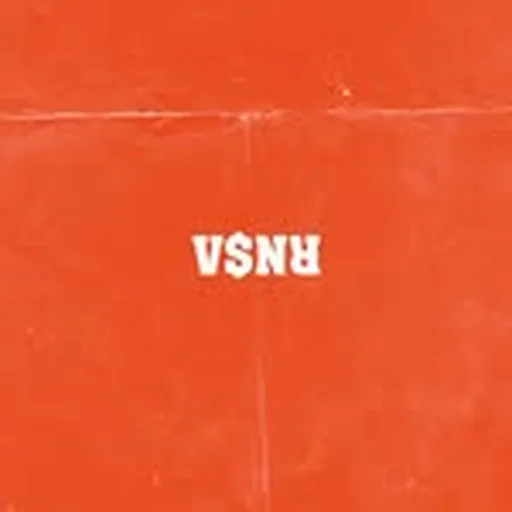 @vsnr.us profile image