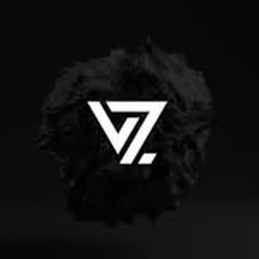 @vsnzmusic profile image