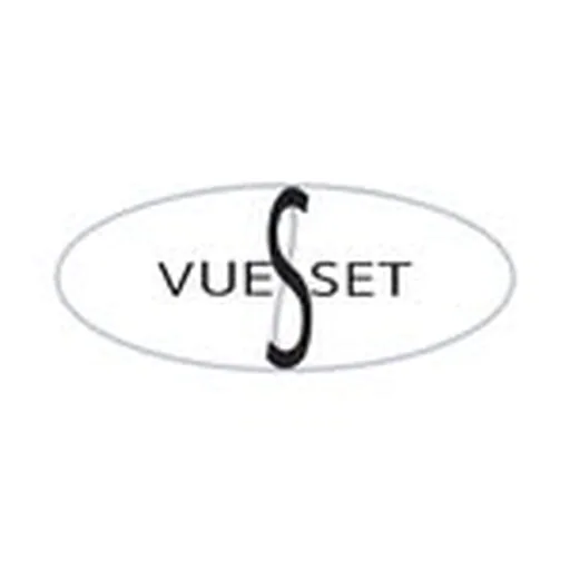 @vueset profile image