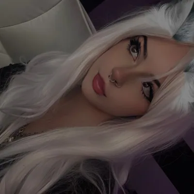 @vvenamiss profile image