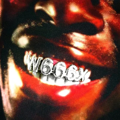 @w666x.archive profile image