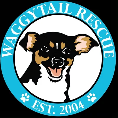 @waggytailrescue profile image