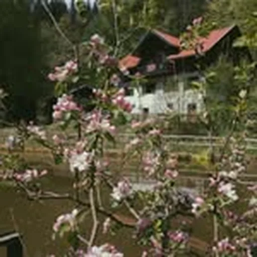 @waldschlucht profile image