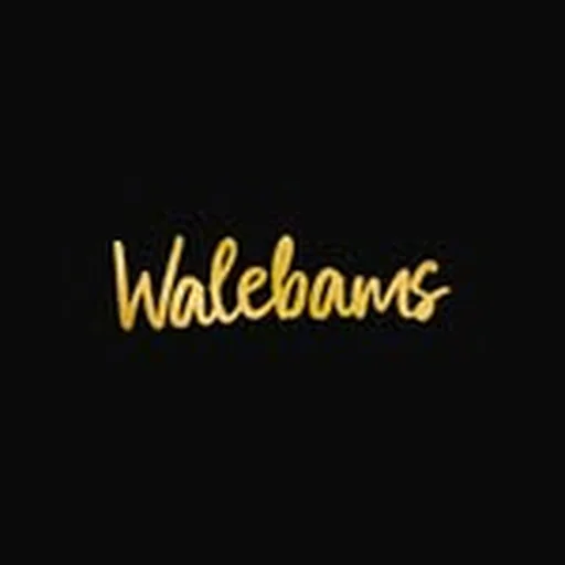 @walebams_ profile image