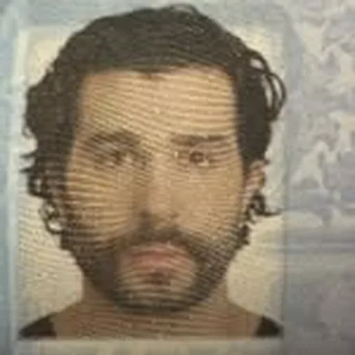 @waleedsokkar profile image
