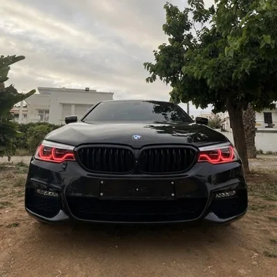 @walid.wmb profile image