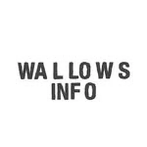@wallowsinfo profile image