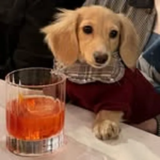 @wanda.the.weenie profile image