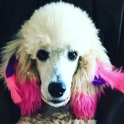 @wandawednesdays profile image