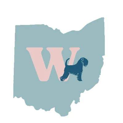 @warzalas_wheatens profile image