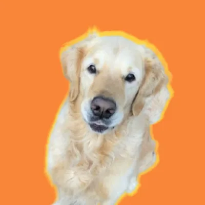 @watchwithbruce profile image
