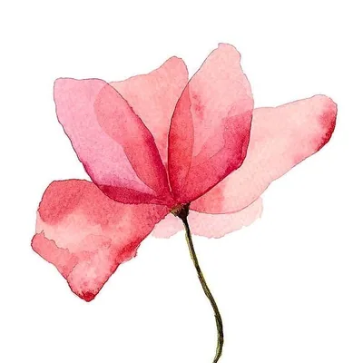 @watercolor_guild profile image