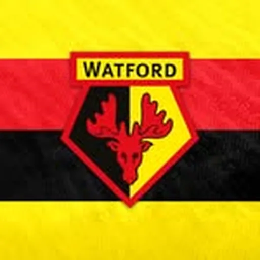 @watfordfcofficial profile image