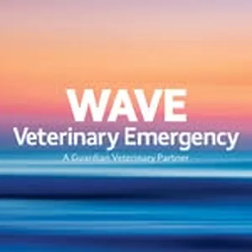 @wavehamptons profile image