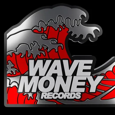 @wavemoneyrecord profile image