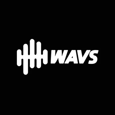 @wavscustom profile image