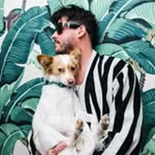 @wavves profile image