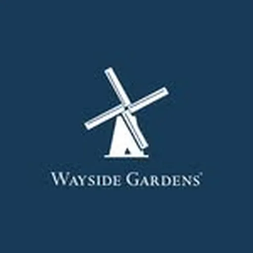 @waysidegardens profile image