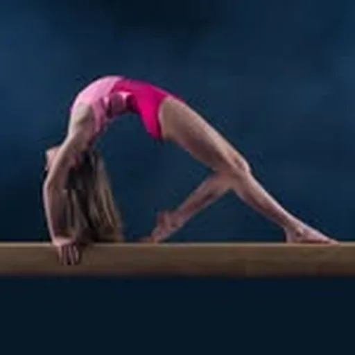 @wcg_gymnast_ellington profile image