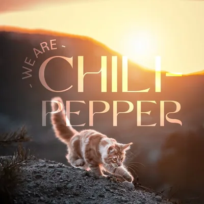 @we.are.chilipepper profile image