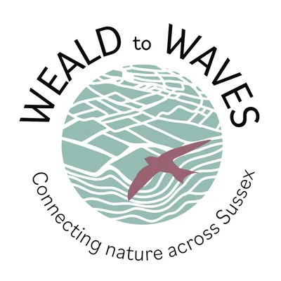 @wealdtowaves profile image