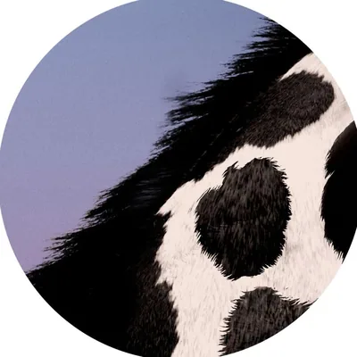 @weareanimaltalk profile image