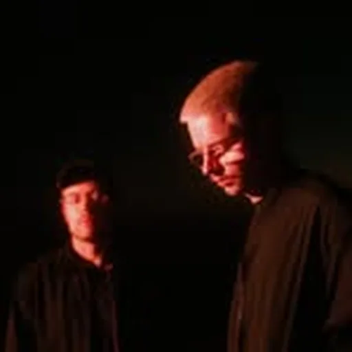 @wearepolaroit profile image
