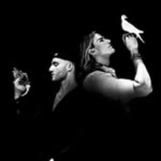 @wearevoila profile image