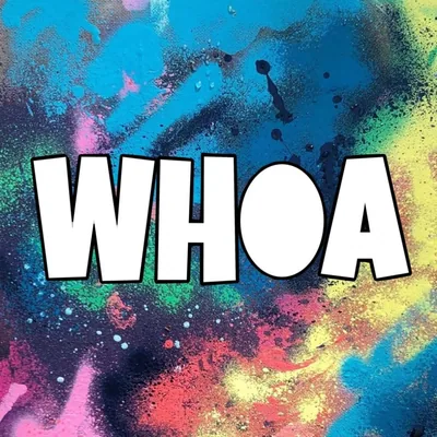 @wearewhoa.art profile image
