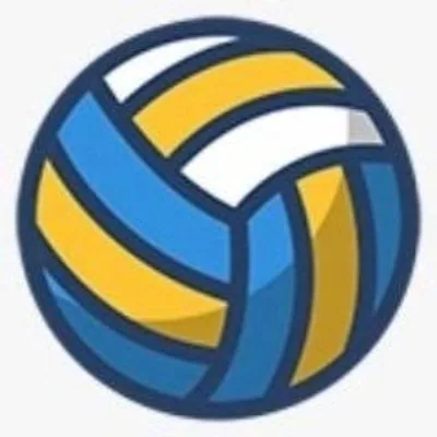 @webvolei profile image
