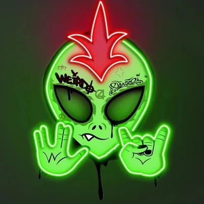 @weirdoverse_ profile image