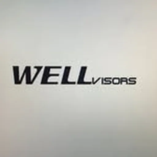 @wellvisors profile image