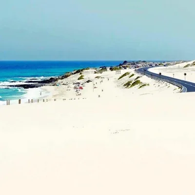 @welovefuerte profile image