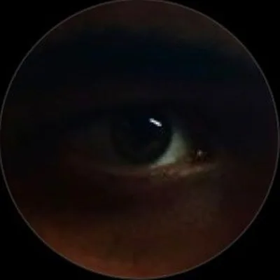 @wesmeek profile image