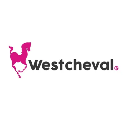 @westcheval profile image