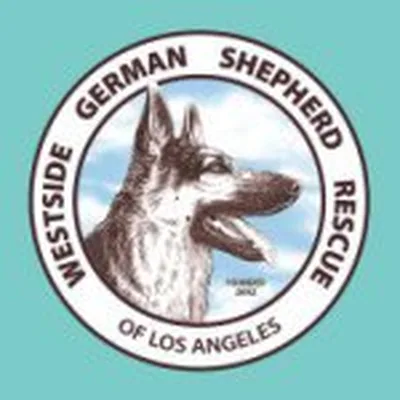 @westsidegsr profile image