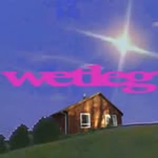@wetleghq profile image