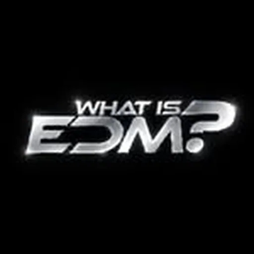@whatisedm.th profile image