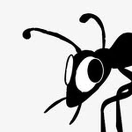 @whereis_ant profile image