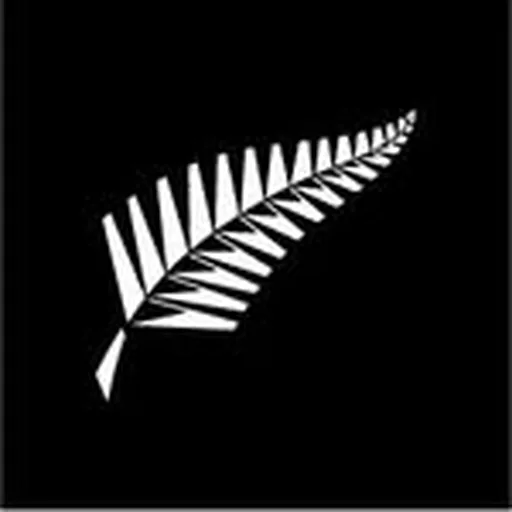 @white_ferns profile image