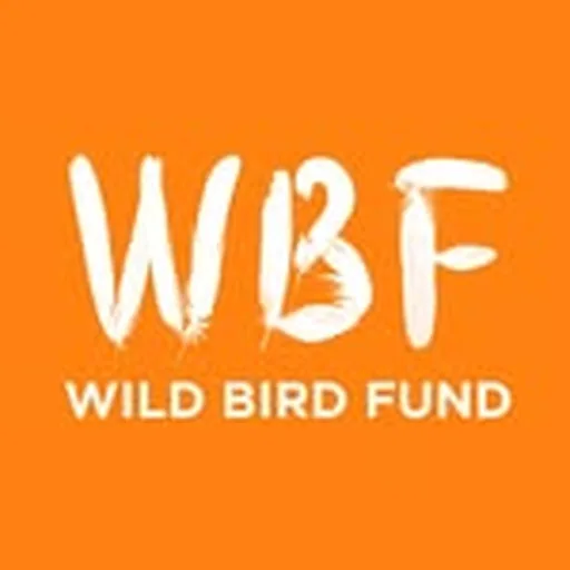 @wildbirdfund profile image