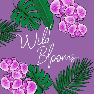 @wildblooms_aus profile image