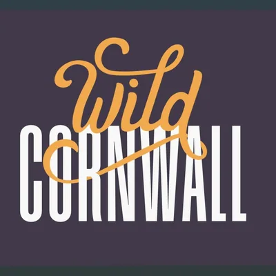 @wildcornwalluk profile image