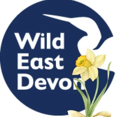 @wildeastdevon profile image