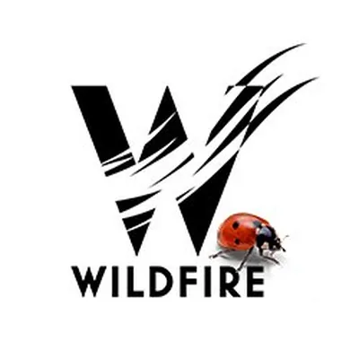 @wildfiredoesbooks profile image