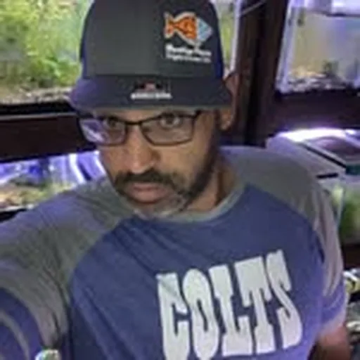 @wildfishtanks profile image