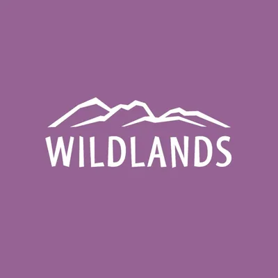 @wildlandsmusic profile image