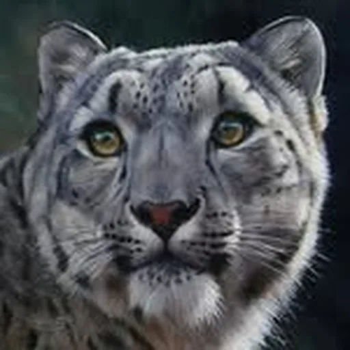 @wildlife_art_jason profile image