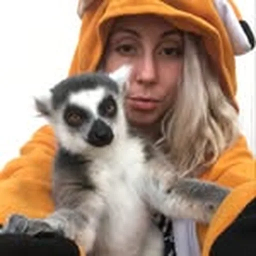 @wildlifewonderland profile image